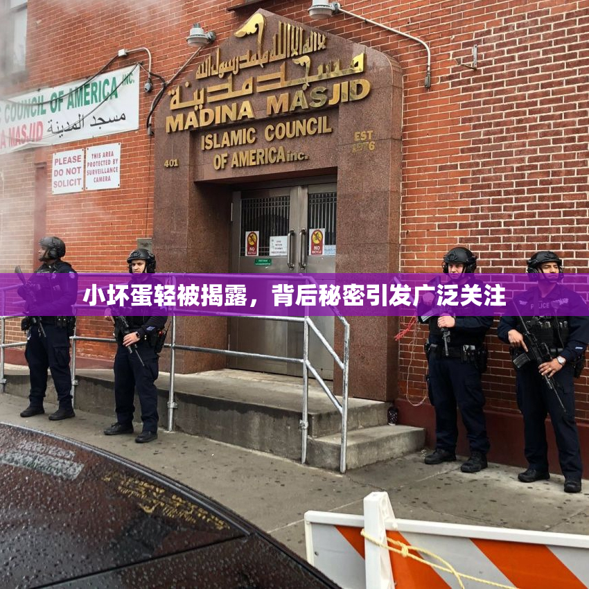 小坏蛋轻被揭露，背后秘密引发广泛关注
