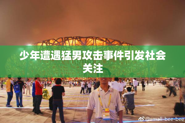 少年遭遇猛男攻击事件引发社会关注