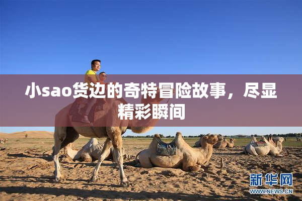 小sao货边的奇特冒险故事，尽显精彩瞬间