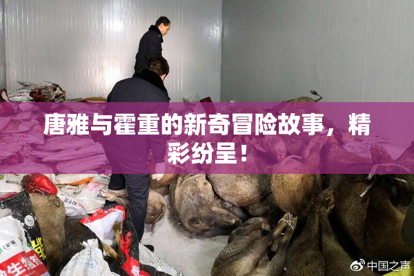 唐雅与霍重的新奇冒险故事，精彩纷呈！