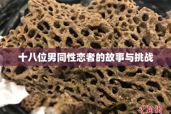 十八位男同性恋者的故事与挑战