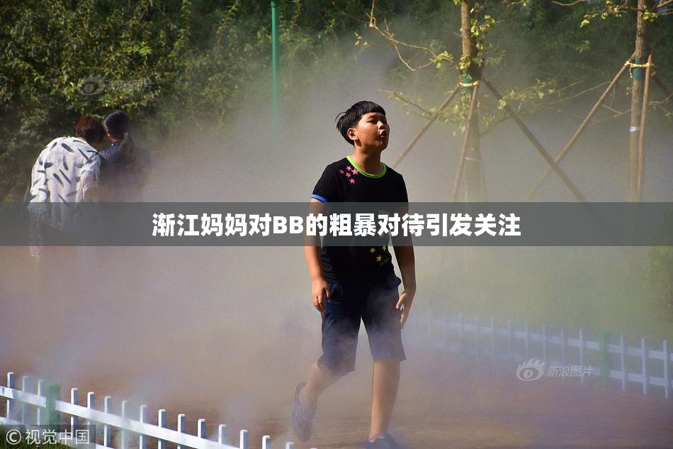 渐江妈妈对BB的粗暴对待引发关注