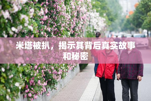 米塔被扒，揭示其背后真实故事和秘密