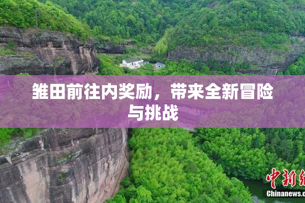 雏田前往内奖励，带来全新冒险与挑战