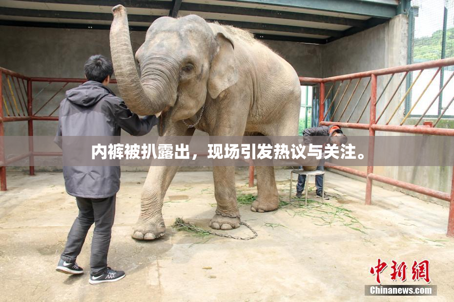 内裤被扒露出，现场引发热议与关注。