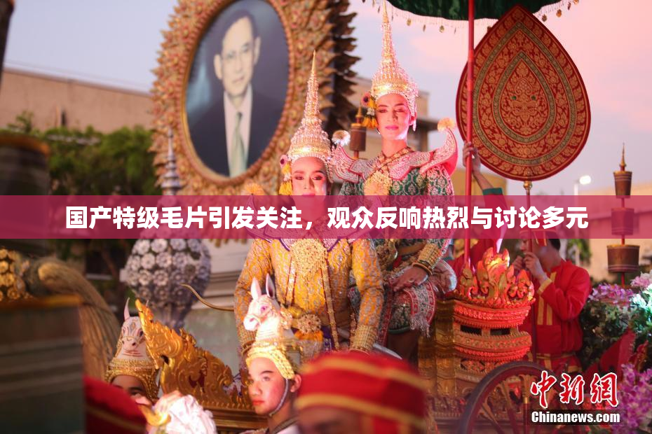 国产特级毛片引发关注，观众反响热烈与讨论多元