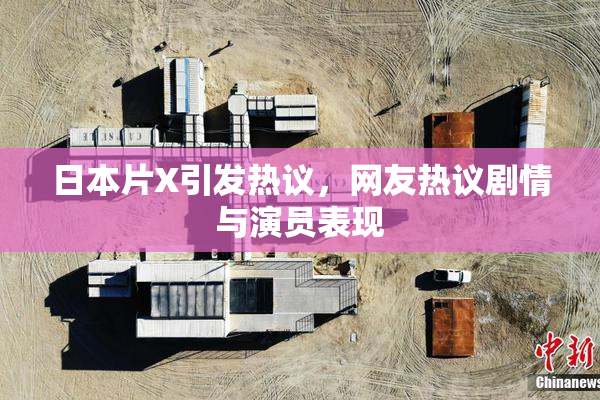 日本片X引发热议，网友热议剧情与演员表现