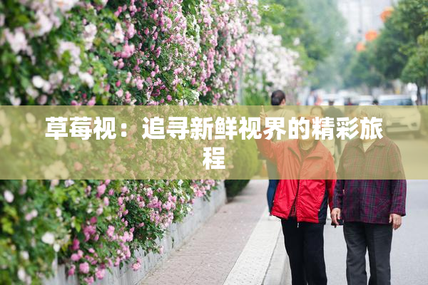 草莓视：追寻新鲜视界的精彩旅程