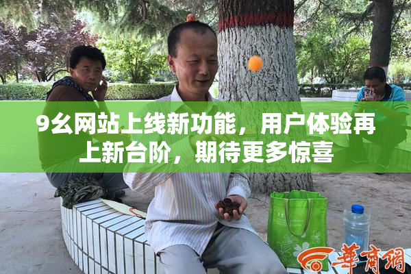 9幺网站上线新功能，用户体验再上新台阶，期待更多惊喜
