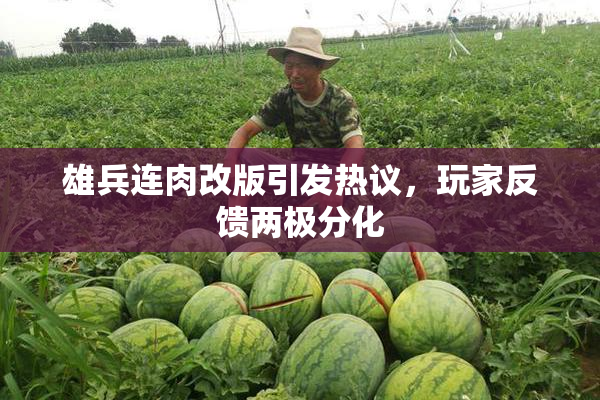 雄兵连肉改版引发热议，玩家反馈两极分化