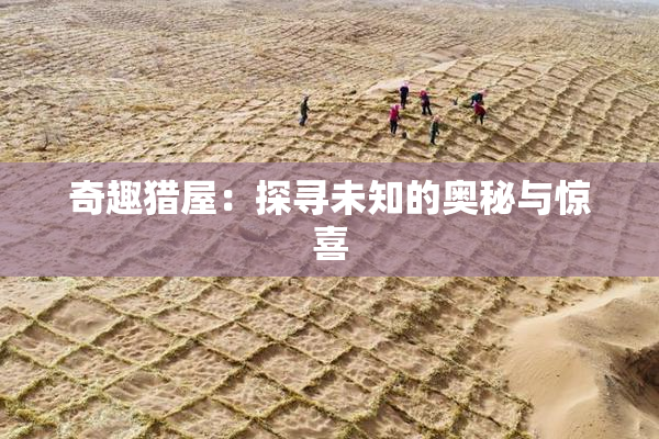 奇趣猎屋：探寻未知的奥秘与惊喜