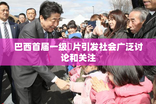巴西首届一级婬片引发社会广泛讨论和关注
