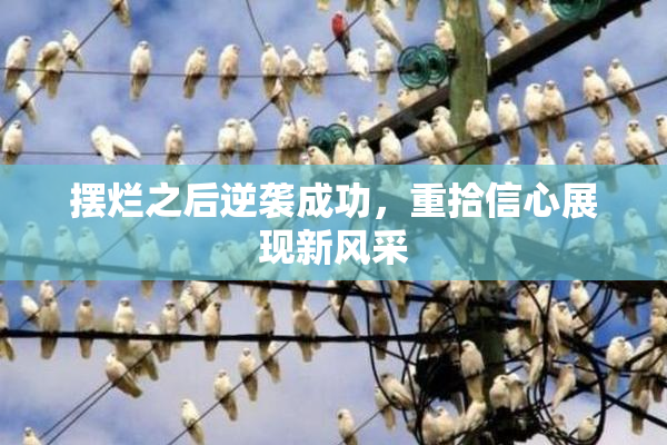 摆烂之后逆袭成功，重拾信心展现新风采
