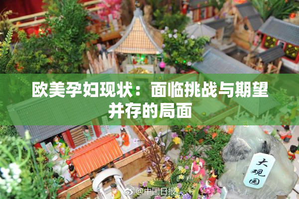 欧美孕妇现状：面临挑战与期望并存的局面
