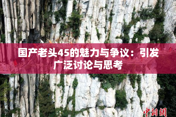 国产老头45的魅力与争议：引发广泛讨论与思考