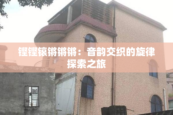 铿铿锿锵锵锵：音韵交织的旋律探索之旅