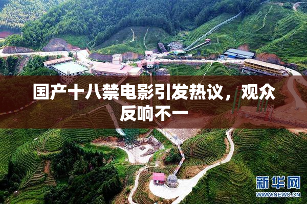 国产十八禁电影引发热议，观众反响不一