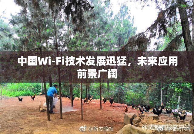 中国Wi-Fi技术发展迅猛，未来应用前景广阔