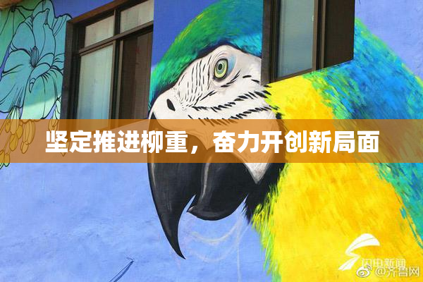 坚定推进柳重，奋力开创新局面