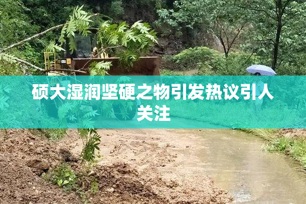 硕大湿润坚硬之物引发热议引人关注