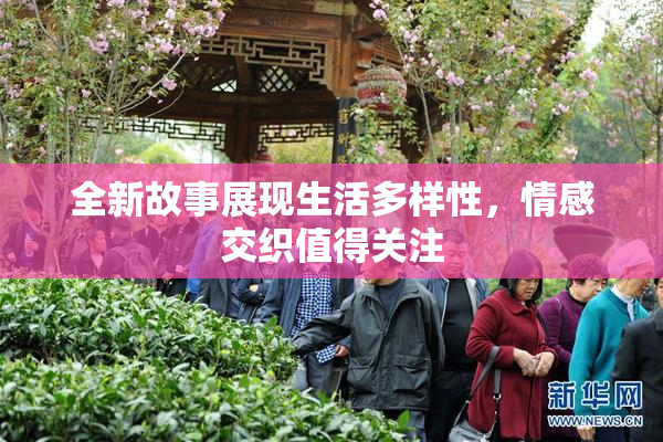 全新故事展现生活多样性，情感交织值得关注