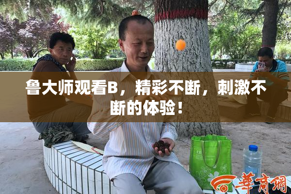 鲁大师观看B，精彩不断，刺激不断的体验！