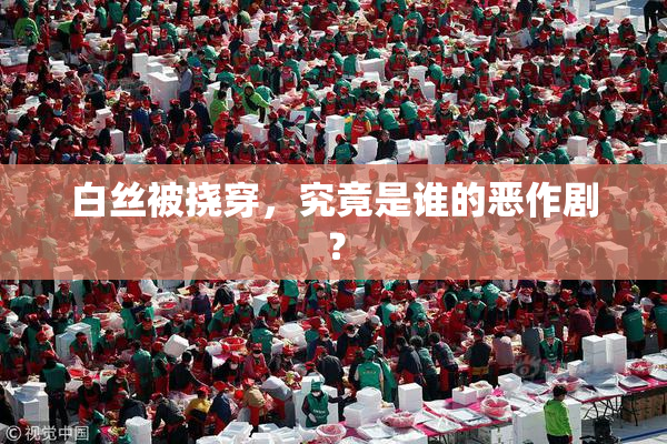白丝被挠穿，究竟是谁的恶作剧？
