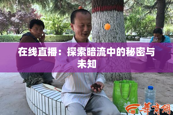 在线直播：探索暗流中的秘密与未知