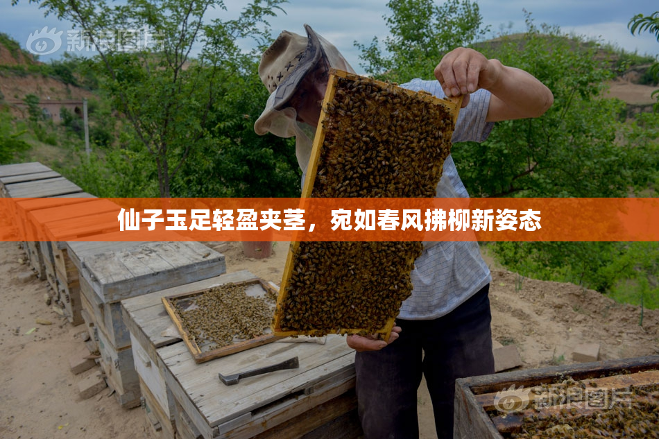 仙子玉足轻盈夹茎，宛如春风拂柳新姿态