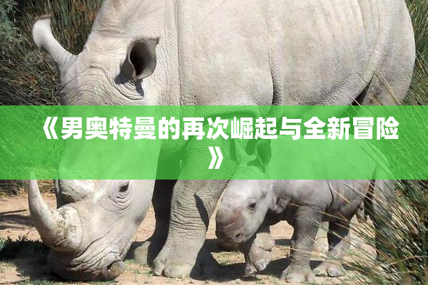 《男奥特曼的再次崛起与全新冒险》