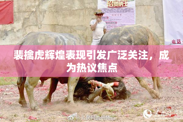 裴擒虎辉煌表现引发广泛关注，成为热议焦点