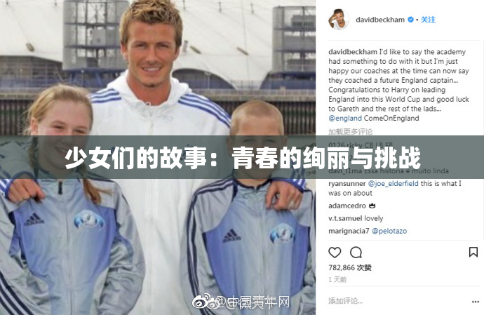 少女们的故事：青春的绚丽与挑战