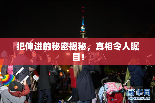 把伸进的秘密揭秘，真相令人瞩目！