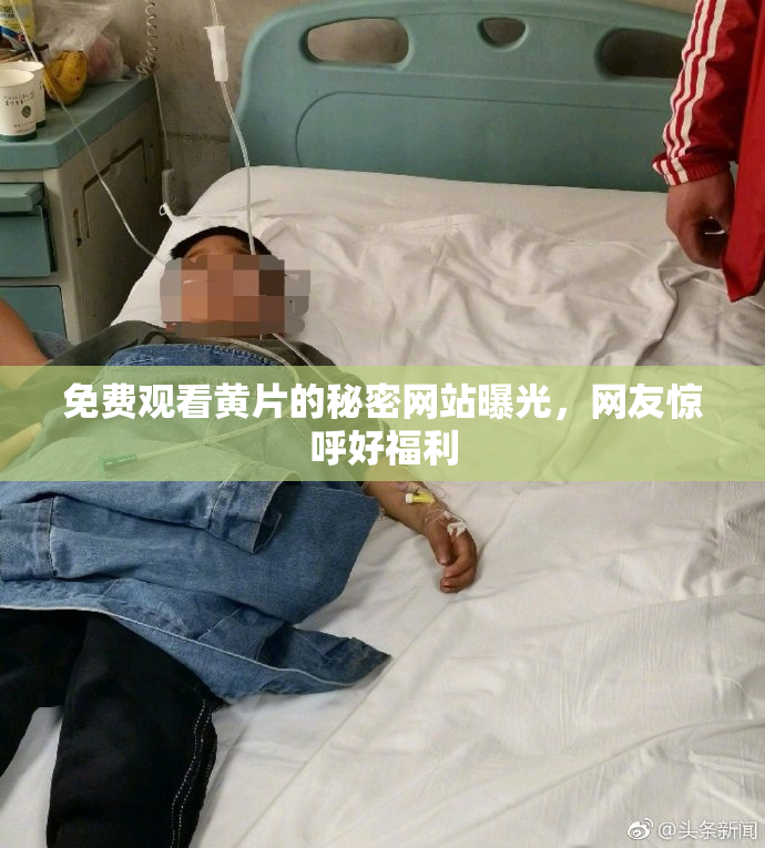 免费观看黄片的秘密网站曝光，网友惊呼好福利