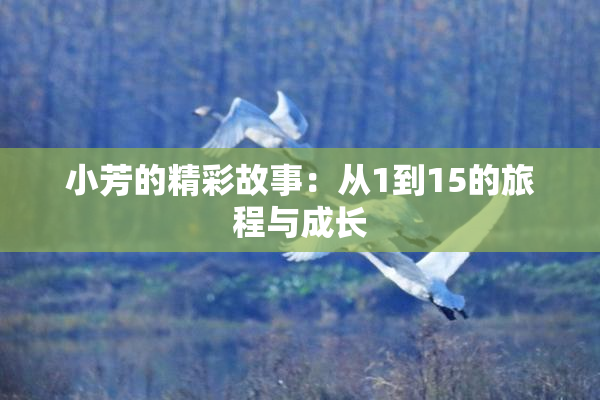 小芳的精彩故事：从1到15的旅程与成长