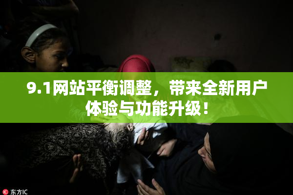 9.1网站平衡调整，带来全新用户体验与功能升级！
