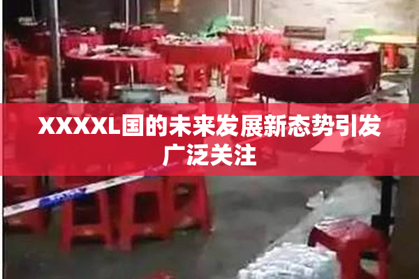 XXXXL国的未来发展新态势引发广泛关注