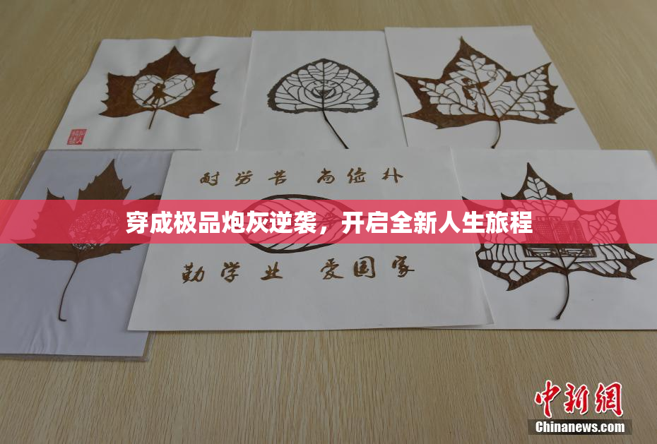 穿成极品炮灰逆袭，开启全新人生旅程