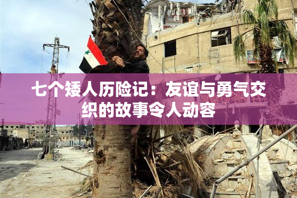 七个矮人历险记：友谊与勇气交织的故事令人动容