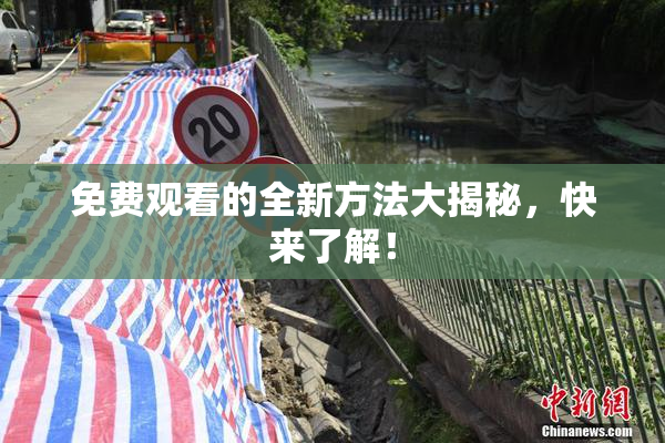 免费观看的全新方法大揭秘，快来了解！