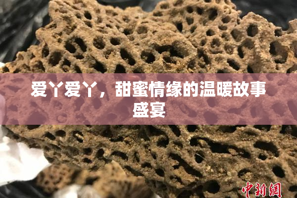 爱丫爱丫，甜蜜情缘的温暖故事盛宴