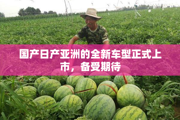 国产日产亚洲的全新车型正式上市，备受期待