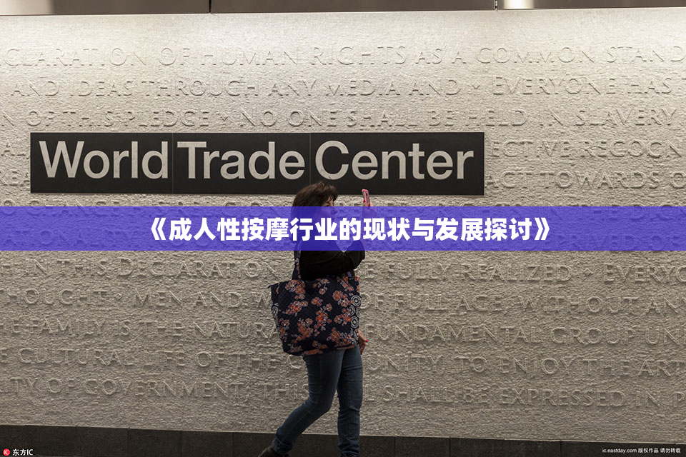 《成人性按摩行业的现状与发展探讨》