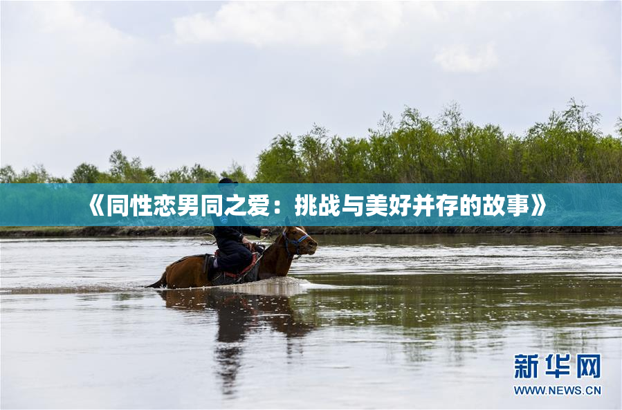 《同性恋男同之爱：挑战与美好并存的故事》