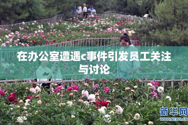 在办公室遭遇c事件引发员工关注与讨论