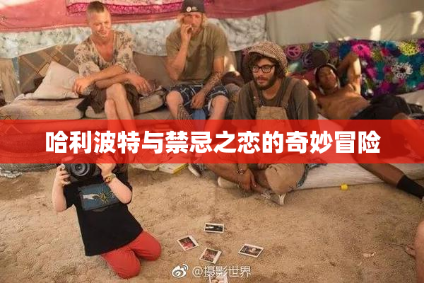 哈利波特与禁忌之恋的奇妙冒险