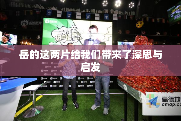 岳的这两片给我们带来了深思与启发