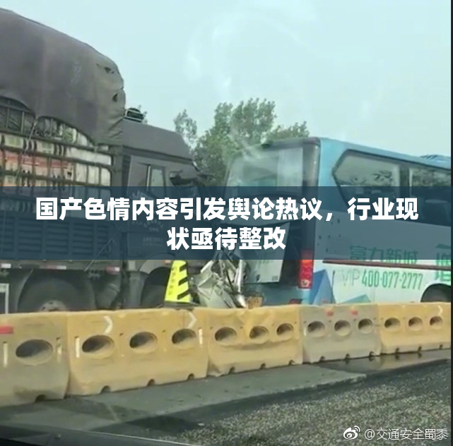 国产色情内容引发舆论热议，行业现状亟待整改