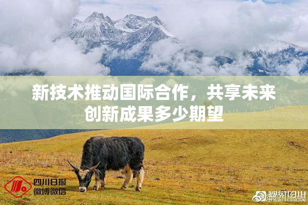 新技术推动国际合作，共享未来创新成果多少期望