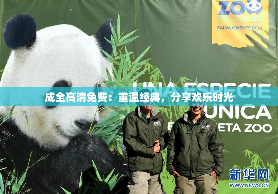 成全高清免费：重温经典，分享欢乐时光